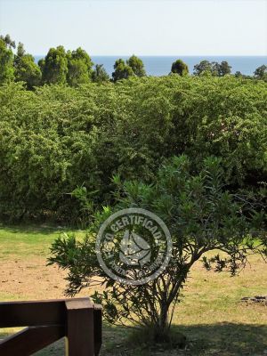 Chacra las Flores - Piriápolis