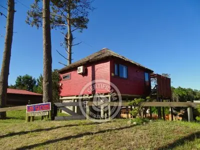 Cabana Los Geckos Punta del Diablo