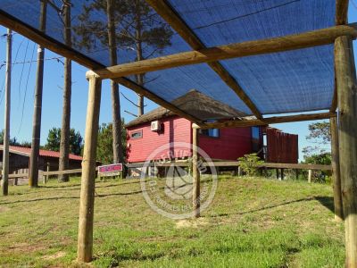 Cabana Los Geckos Punta del Diablo