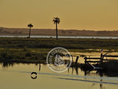 Outdoor activities Puente y arroyo Valizas Valizas