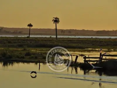 Passeio e Atividades Puente y arroyo Valizas Valizas