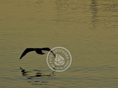 Outdoor activities Puente y arroyo Valizas Valizas