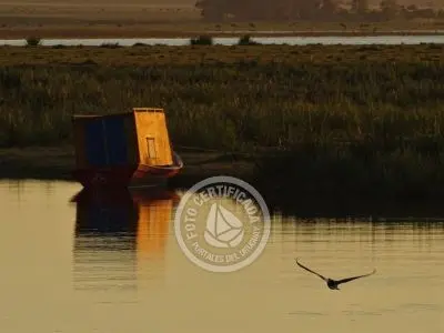 Passeio e Atividades Puente y arroyo Valizas Valizas