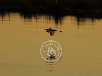 Outdoor activities Puente y arroyo Valizas Valizas