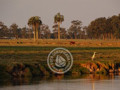 Outdoor activities Puente y arroyo Valizas Valizas