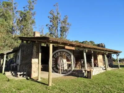 Amplia barbacoa para organizar tu reunión