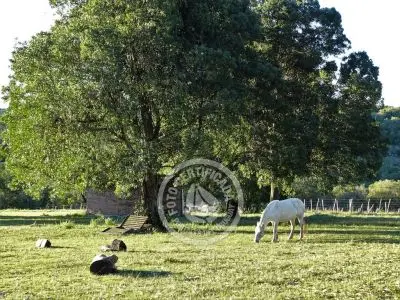 Country Inn Oriente Serrano - Barbacoa Villa Serrana