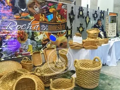 Rocha se muestra 2016