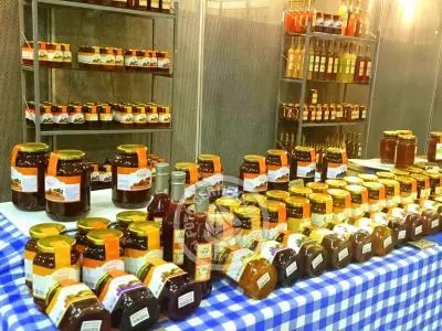 Rocha se muestra 2016