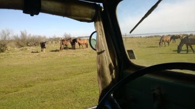 SurfCamp Compartida - La pedrera