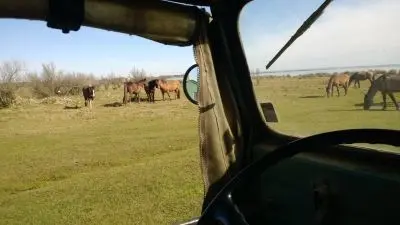 SurfCamp Campling - La Pedrera