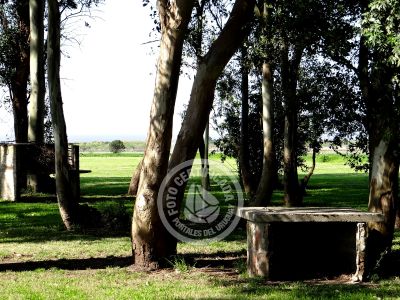 Las Martinas - Doble I - Colonia