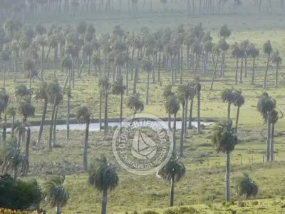 Passeio e Atividades Camino del Indio Rocha
