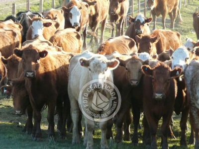 Outdoor activities Camino del Indio Rocha