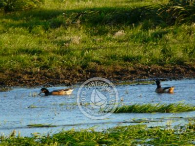 Outdoor activities Camino del Indio Rocha