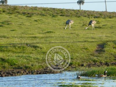 Outdoor activities Camino del Indio Rocha