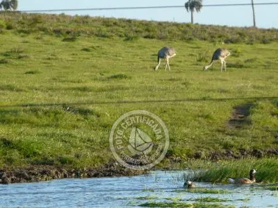 Passeio e Atividades Camino del Indio Rocha