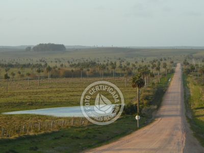 Outdoor activities Camino del Indio Rocha