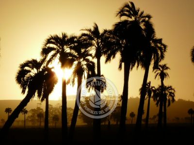 Outdoor activities Camino del Indio Rocha