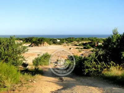 Passeio e Atividades Cárcavas  Punta Rubia