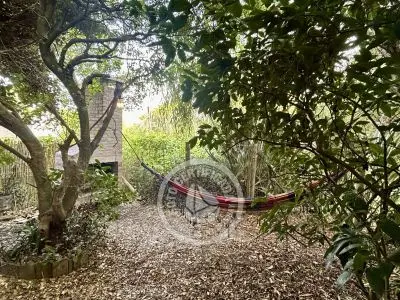 Cabin Bichito de Luz Valizas