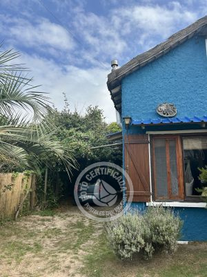 Complejo Bichito Guidaí Valizas