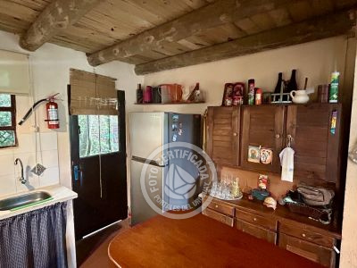 Complejo Bichito Guidaí Valizas