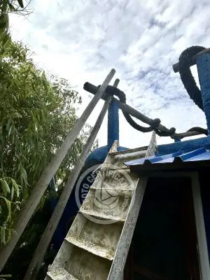 Complejo Bichito Guidaí Valizas