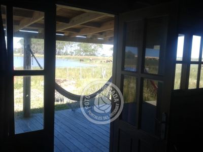 Días Azules - Valizas