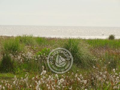 Rancho Naranja - Cabo Polonio