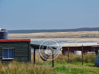 Rancho Sol Violeta Cabo Polonio