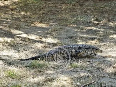 Casa Miraverde Punta Colorada