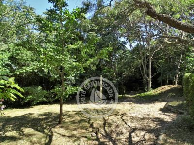 Casa Miraverde Punta Colorada