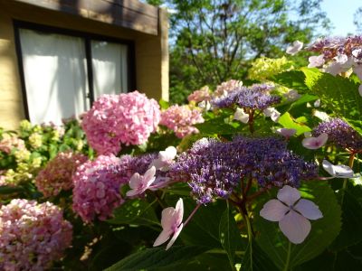 Miraverde Gral 2017 - Piriapolis