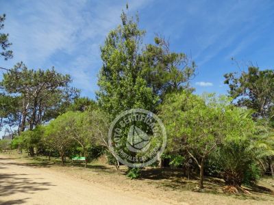 Casa Miraverde Punta Colorada
