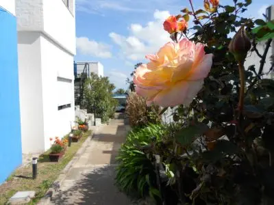 Complexo Escape Apartamentos Punta Fría