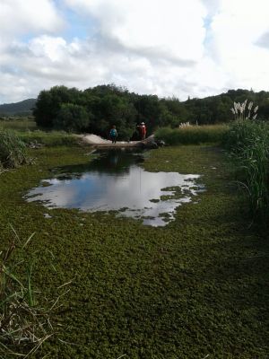 Mi Virgencita del Valle - Villa Serrana