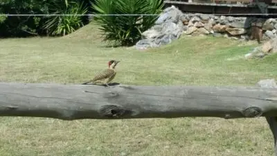 Cabin Mi Virgencita del Valle Villa Serrana