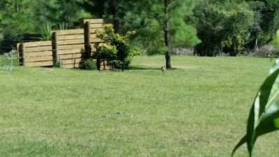 Cabin Mi Virgencita del Valle Villa Serrana