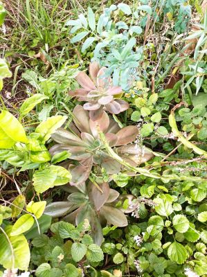 Cabin Mi Virgencita del Valle Villa Serrana