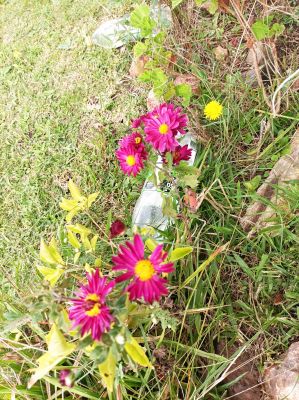 Cabin Mi Virgencita del Valle Villa Serrana