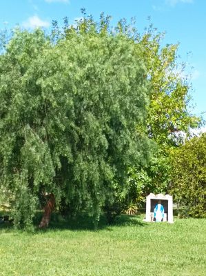 Cabin Mi Virgencita del Valle Villa Serrana