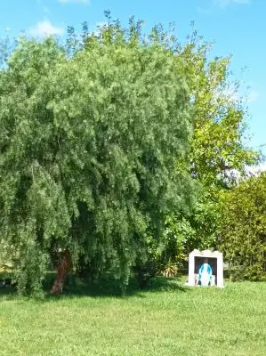 Cabin Mi Virgencita del Valle Villa Serrana