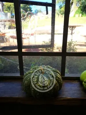 Restaurants - Food La Mia Cucina Restó...  del Octógono Villa Serrana