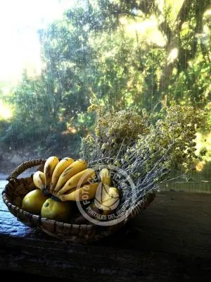 Restaurants - Food La Mia Cucina Restó...  del Octógono Villa Serrana