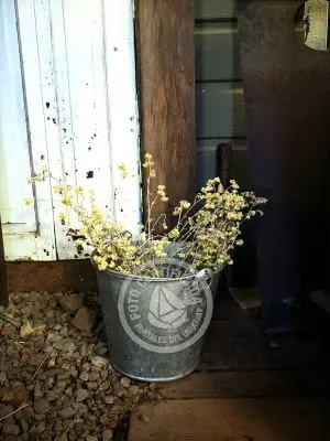 Restaurants - Food La Mia Cucina Restó...  del Octógono Villa Serrana