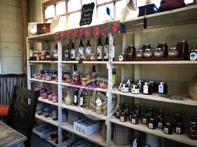 Restaurants - Food La Mia Cucina Restó...  del Octógono Villa Serrana