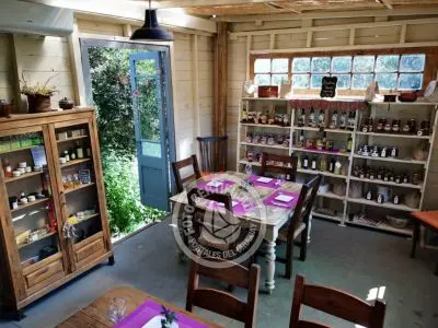 La Mia Cucina Restó...  del Octógono