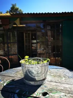 Restaurants - Food La Mia Cucina Restó...  del Octógono Villa Serrana