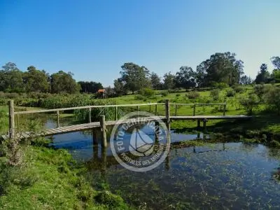 Casa Chacra Milena Piriápolis